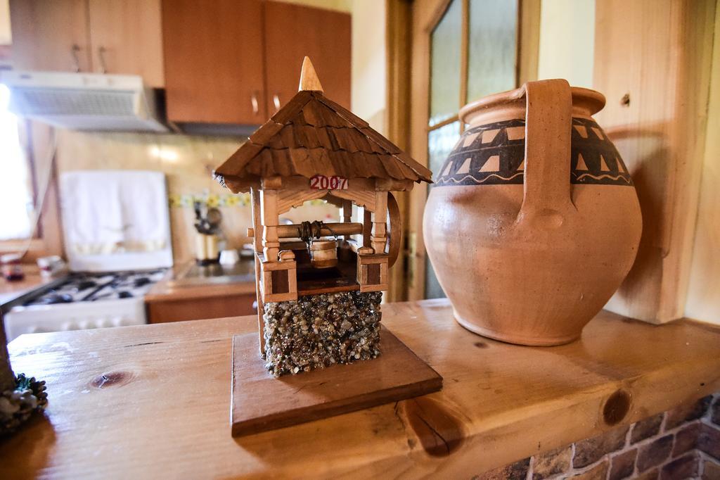 Vişeu de Sus Casa Chira酒店 外观 照片